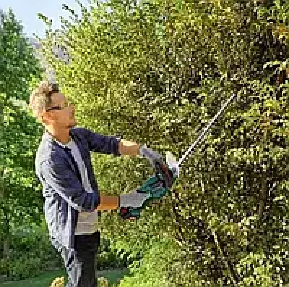 Кусторезы, садовые ножницы Кусторезы, садовые ножницы