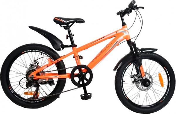 Детский велосипед ROOK MA200D Disk