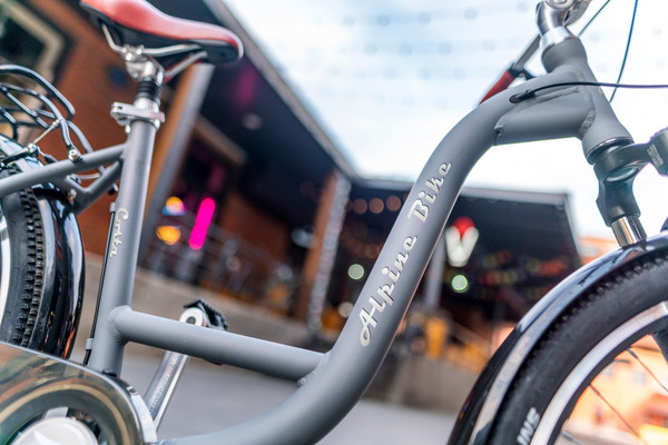 Велосипед Alpinebike Costa 2022 / ALPB_CostaGY_M_22MY- фото10