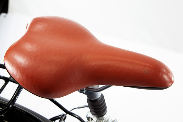 Велосипед Alpinebike Costa 2022 / ALPB_CostaGY_M_22MY- фото3