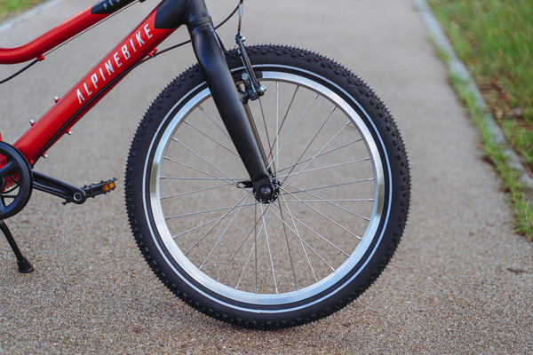 Детский велосипед Alpinebike Pegas 3-20 / TSRD00174600- фото10