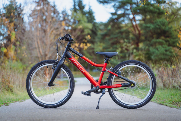 Детский велосипед Alpinebike Pegas 3-20 / TSRD00174600- фото6