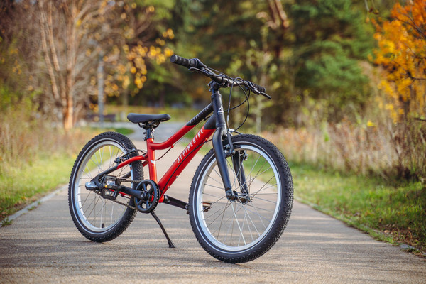 Детский велосипед Alpinebike Pegas 3-20 / TSRD00174600- фото7