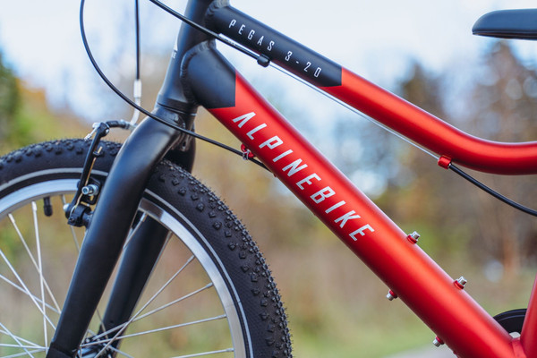 Детский велосипед Alpinebike Pegas 3-20 / TSRD00174600- фото8