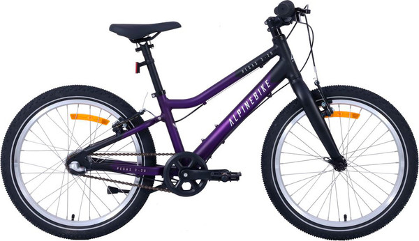 Детский велосипед Alpinebike Pegas 3-20 / TSRD00174601- фото