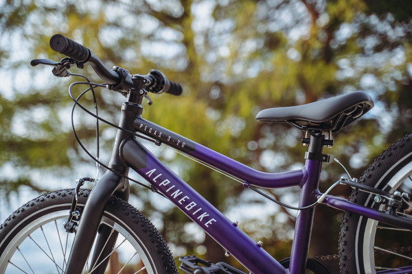 Детский велосипед Alpinebike Pegas 3-20 / TSRD00174601- фото10