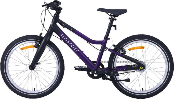 Детский велосипед Alpinebike Pegas 3-20 / TSRD00174601- фото2