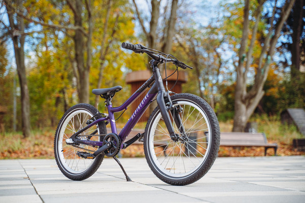 Детский велосипед Alpinebike Pegas 3-20 / TSRD00174601- фото8