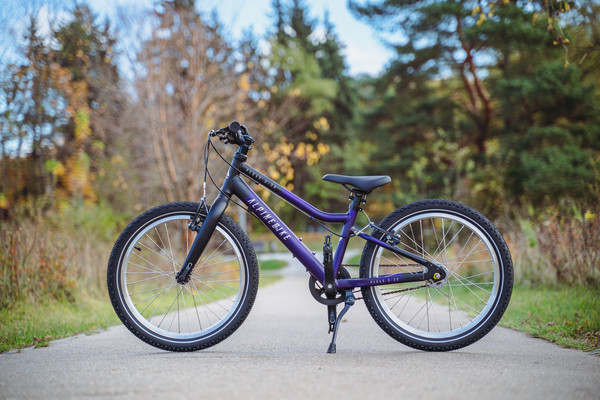 Детский велосипед Alpinebike Pegas 3-20 / TSRD00174601- фото9