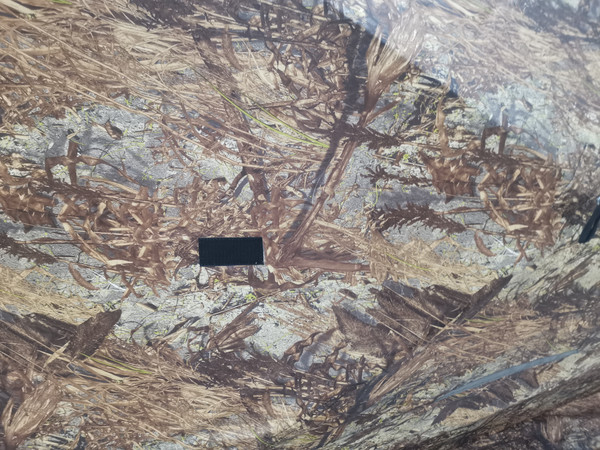 Палатка Пингвин Shelters MrFisher Лонг 290 (камуфляж)- фото8