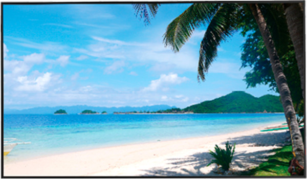 Информационная панель Dahua DHI-LM43-S400- фото