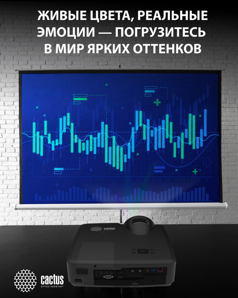 Проектор Cactus Bright CS-V2.B- фото9