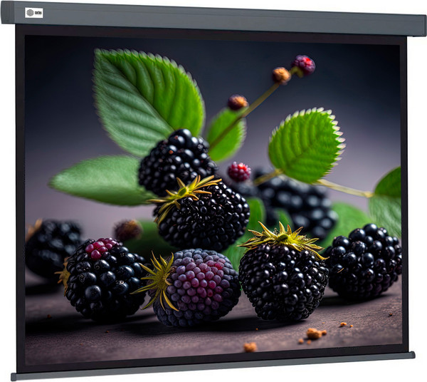 Проекционный экран Cactus CS-PSW-127X127-SG- фото
