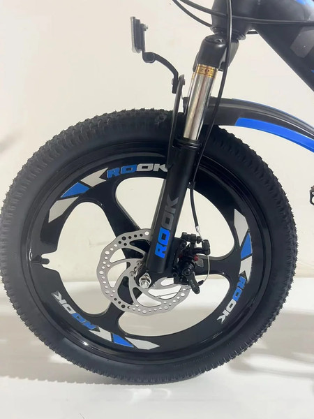 Детский велосипед ROOK MS201D- фото2