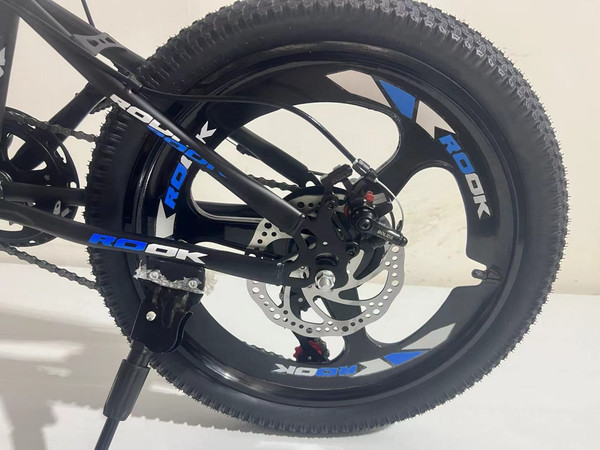 Детский велосипед ROOK MS201D- фото6