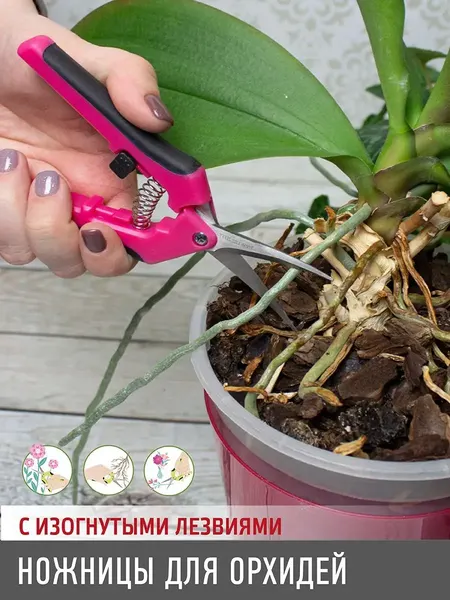 Садовые ножницы механические Garden Show для орхидей с изогнутыми лезвиями h16.5- фото6