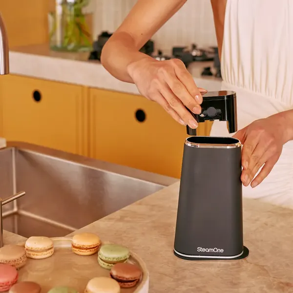 Отпариватель SteamOne James 2 EUFD80BV2- фото6