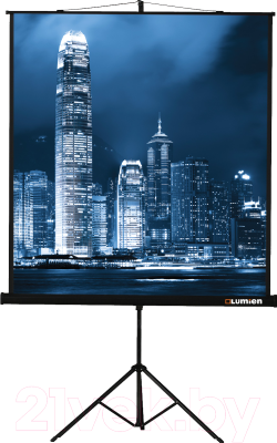 Проекционный экран Lumien Master View 203x203 / LMV-100109- фото