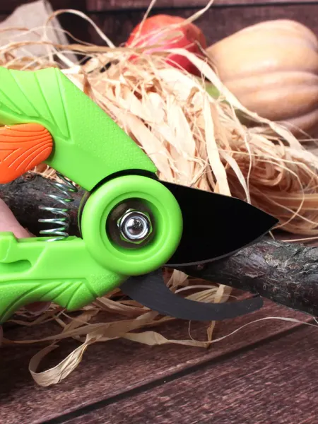 Секатор механический Garden Show Malus L17.5см- фото3