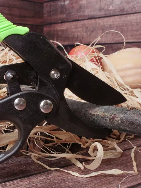 Секатор механический Garden Show L20см- фото3