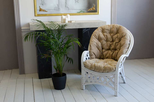 Кресло садовое Мебель Солнца Черчилль CBN-В- фото2