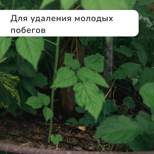 Садовые ножницы механические GREENGO 3019708- фото10