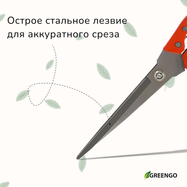 Садовые ножницы механические GREENGO 3019708- фото3