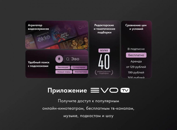 Телевизор Evo TV 24