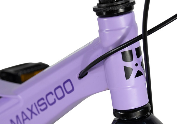 Детский велосипед Maxiscoo Space Deluxe 18 2026 / MSC-S1854D- фото5