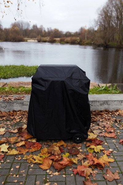 Газовый гриль GALA Flame I GG103- фото6