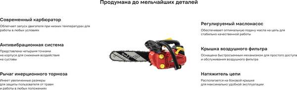 Бензопила цепная DDE CS250-12 / 790-038- фото9