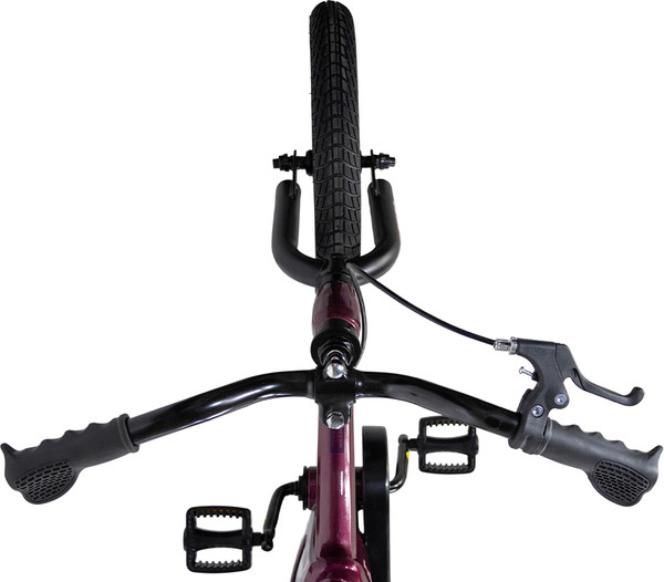 Детский велосипед Maxiscoo Cosmic Базовый Плюс 14 2026 / MSC-C1456B- фото6