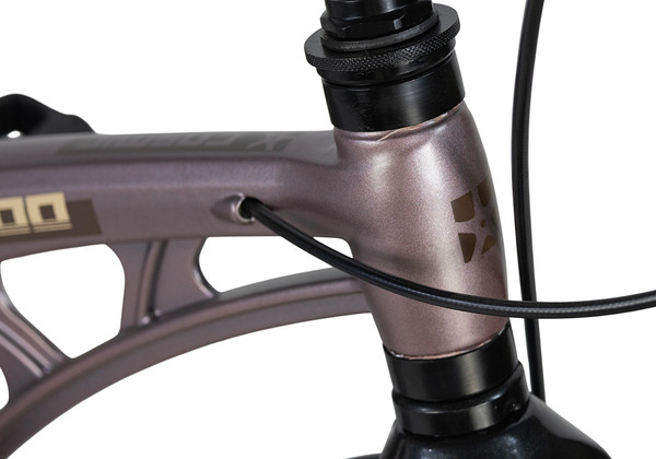 Детский велосипед Maxiscoo Cosmic Deluxe Plus 14 2026 / MSC-C1455D- фото5