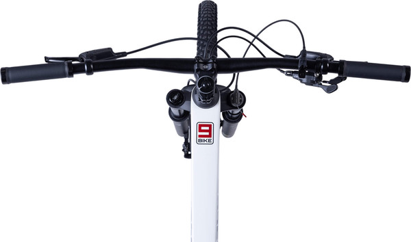 Велосипед Maxiscoo DS 9BIKE 29 W930 2026 / MSC-W9-2951-19- фото6