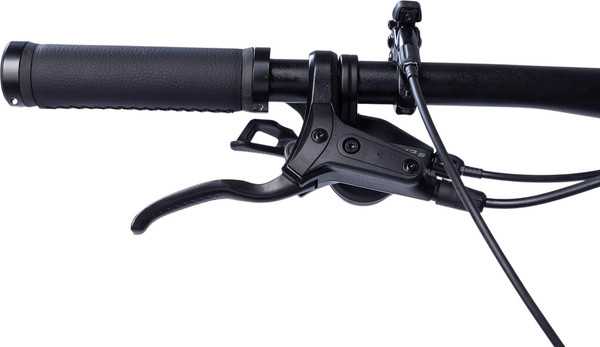 Велосипед Maxiscoo DS 9BIKE 29 W930 2026 / MSC-W9-2951-19- фото8