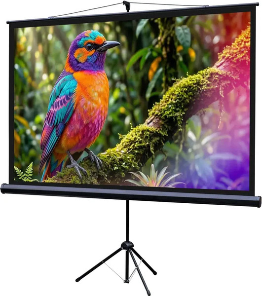 Проекционный экран Lumien Eco Picture 110x192см / LEV-100113- фото