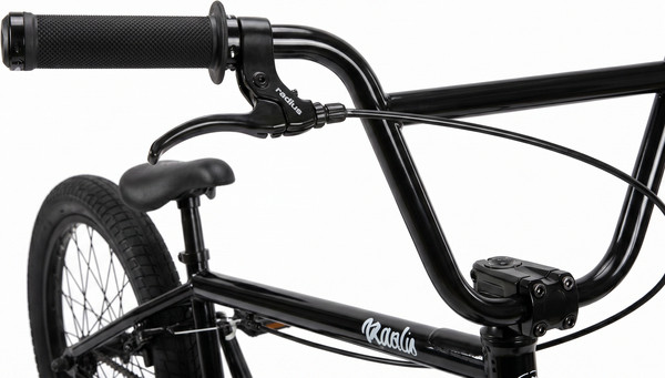Велосипед Stinger Gansta BMX 20SBR.GANSTA.NC6- фото9