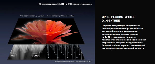Телевизор Hisense 55