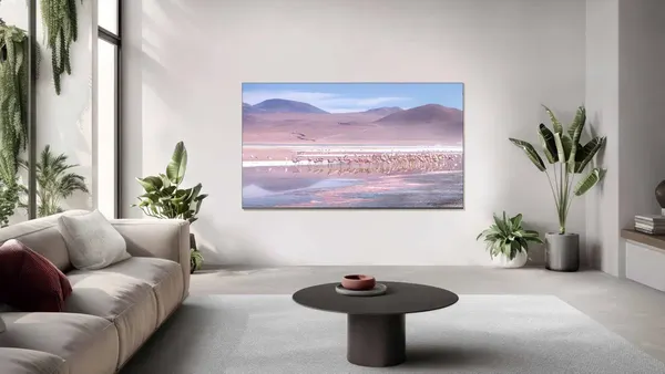 Телевизор TCL 55