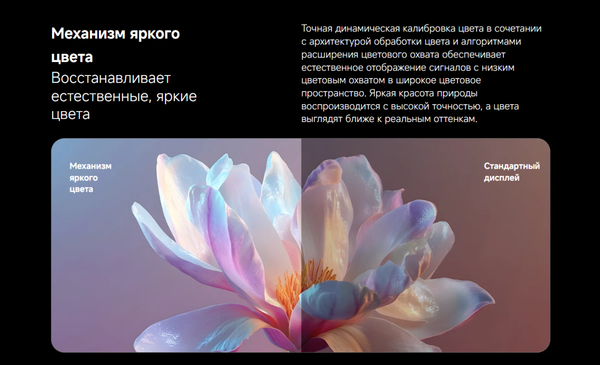 Телевизор Xiaomi TV X Mini LED 75 L75MC-SMRU / ELA6806RU- фото9
