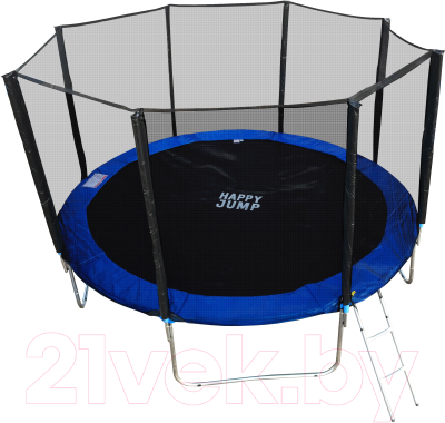 Батут Happy Jump PRO 10ft с внешней сеткой и лестницей (312см)- фото