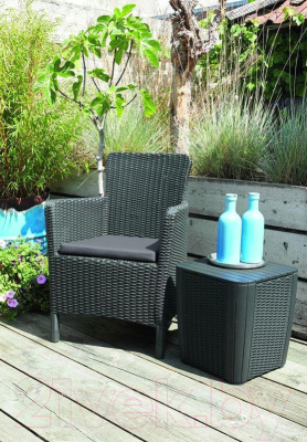 Кресло садовое Keter Trenton DC / 226453- фото2