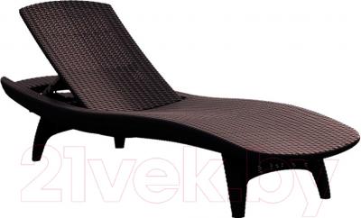 Шезлонг Keter Pacific Lounger / 211104- фото