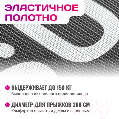 Батут Sundays Champion Premium-D312 (с сеткой и лестницей)- фото4