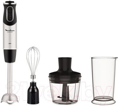 Блендер погружной Moulinex DD653832- фото, картинка Блендер погружной Moulinex DD653832- фото