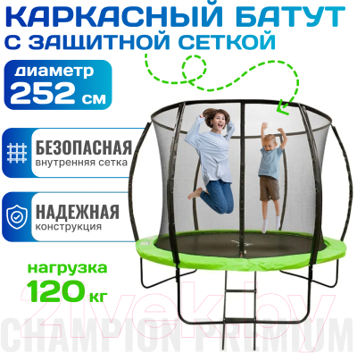 Батут Sundays Champion Premium-D252 (с ограждением)- фото