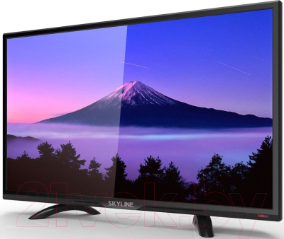 Телевизор SkyLine 24YT5900- фото2