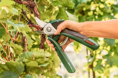 Секатор аккумуляторный Bosch EasyPrune 0.600.8B2.100- фото2