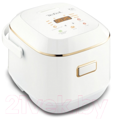 Мультиварка Tefal RK601132- фото