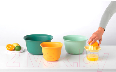 Соковыжималка ручная Brabantia Tasty+ 122040- фото3